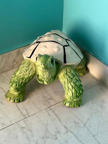 3-bedroom-turtle